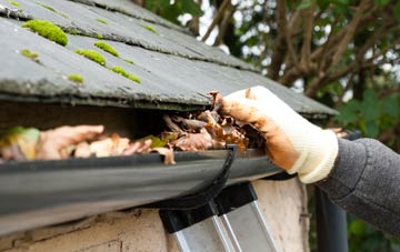 gutter cleaning Bush Bank, Herefordshire