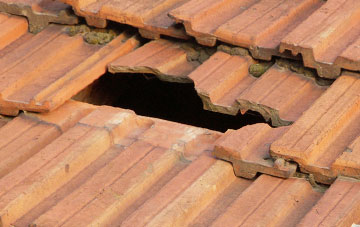 roof repair Bush Bank, Herefordshire